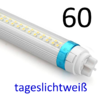 Interlux LED Röhre 60cm 10Watt  230 Volt 1100 Lumen